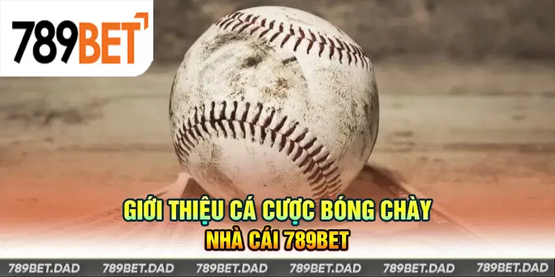 Cá cược bóng chày tại 789Bet