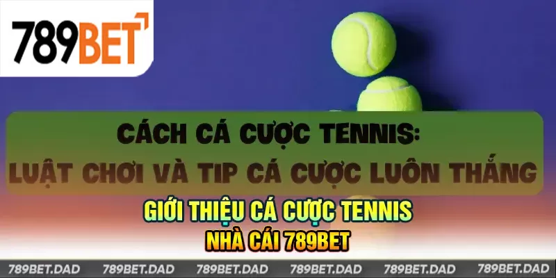 Cá cược tennis/quần vợt tại 789Bet