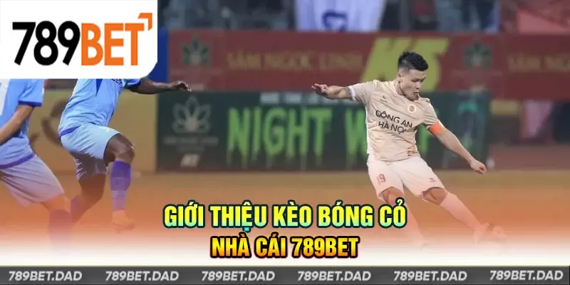 Kèo bóng cỏ tại 789bet